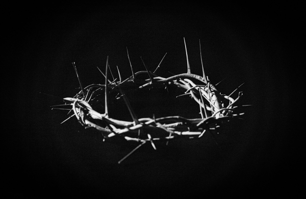 a black and white photo of a crown of thorns